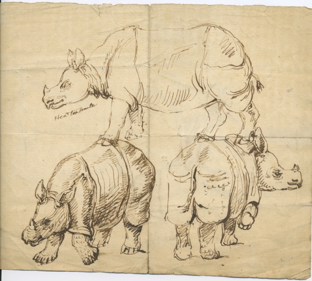 Dr. James Parsons drawings