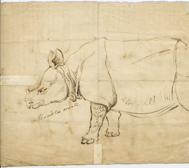 Dr. James Parsons drawings