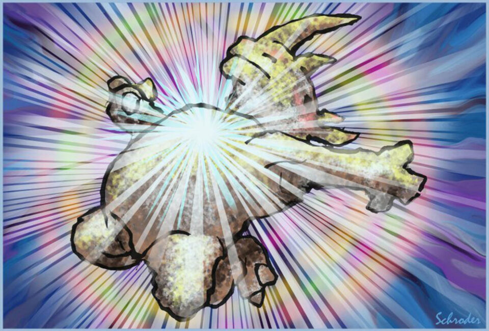 Schroder: Rhino Heart