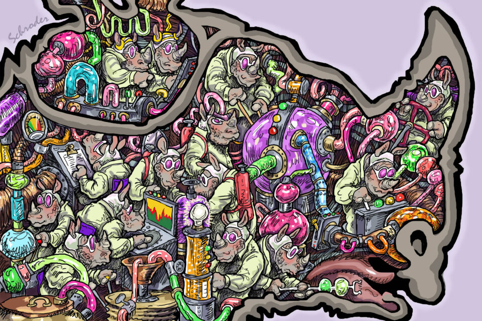 Schroder: Rhino Scentology