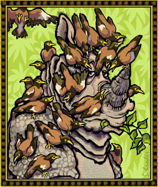 Schroder: Rhino Relief