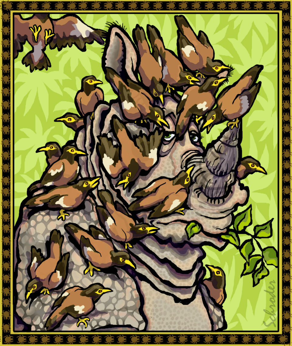 Schroder: Rhino Relief