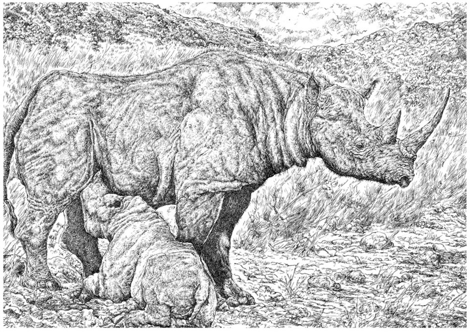 Stephanorhinus hundsheimensis (Toula) suckling its calf