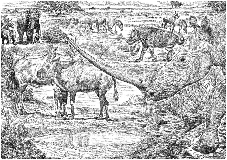 Ningxiatherium euryrhinus Deng 2008 and its habitat