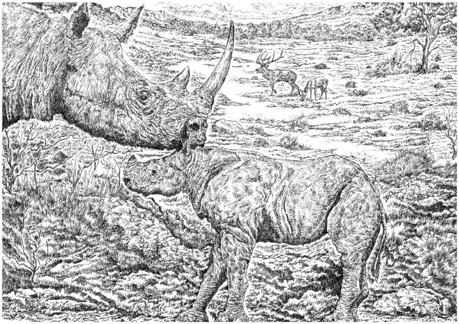 Dicerorhinus hemitoechus (Falconer, 1868) with its calf