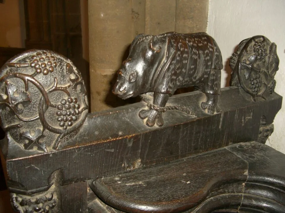 The Minden rhino