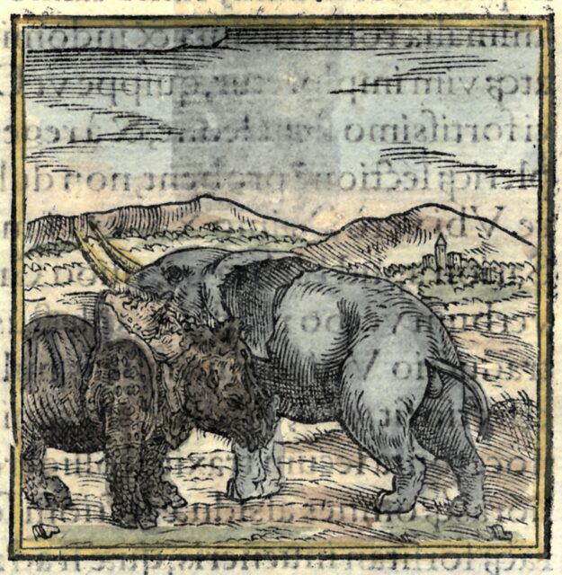 Valerianus Hieroglyphica