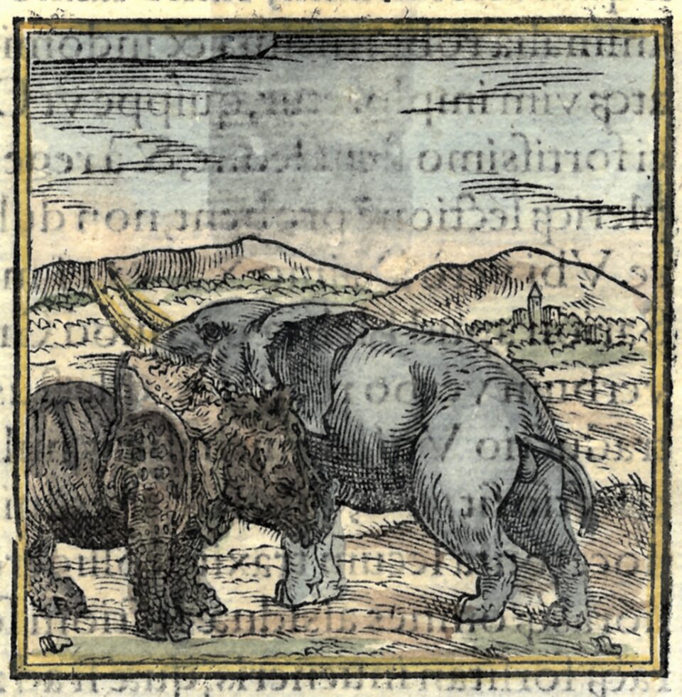 Valerianus Hieroglyphica