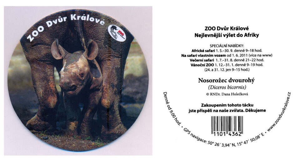 A Dvur Králové Zoo coaster
