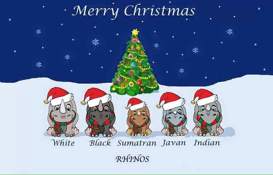 Five rhinoceroses wishing “Merry Christmas”