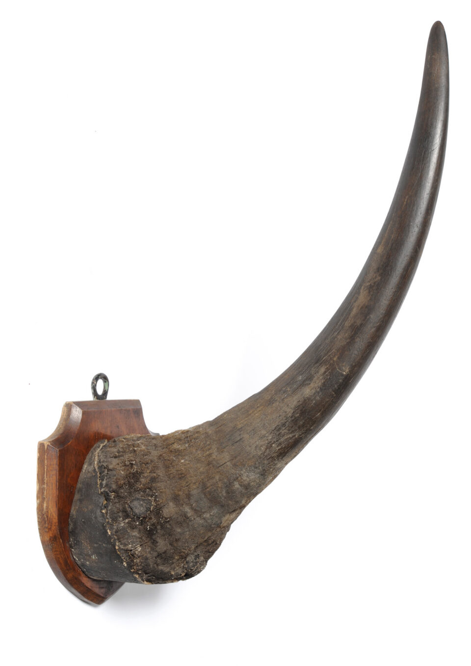 Fell 1910 South Africa