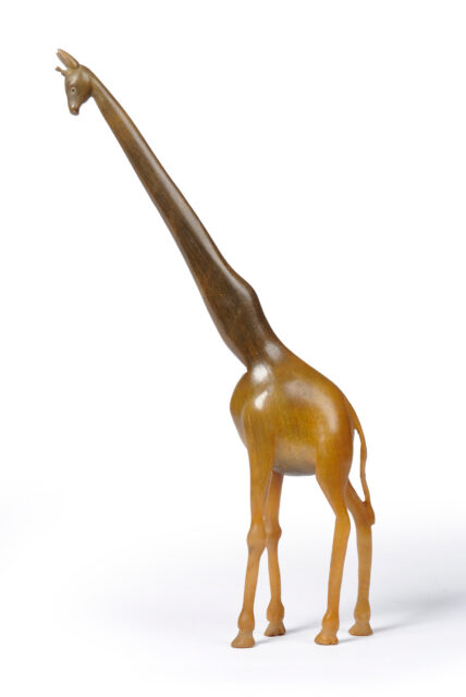 Giraffe out of horn