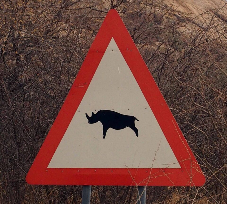 “Attention Rhino”, Erongo Mountains, Namibia
