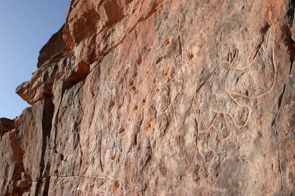 An African rhinoceros engraved on the rock at In Habeter (Uadi Mathendush, Akakus, Fezzan, Libya)