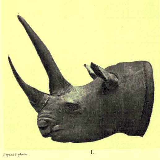 Keitloa mounted head