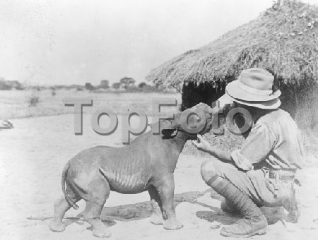 Rhino drinking from bottle