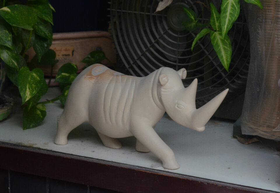 White rhino in a shop in Chomburi (Thailand)