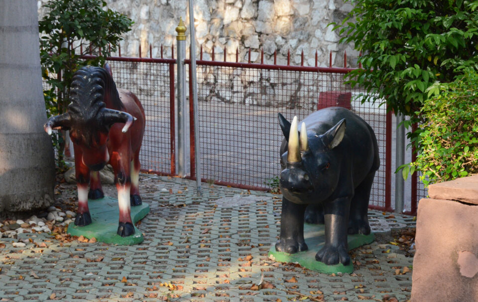Stone rhino in a Buddhist temple garden in Chomburi (Thailand)