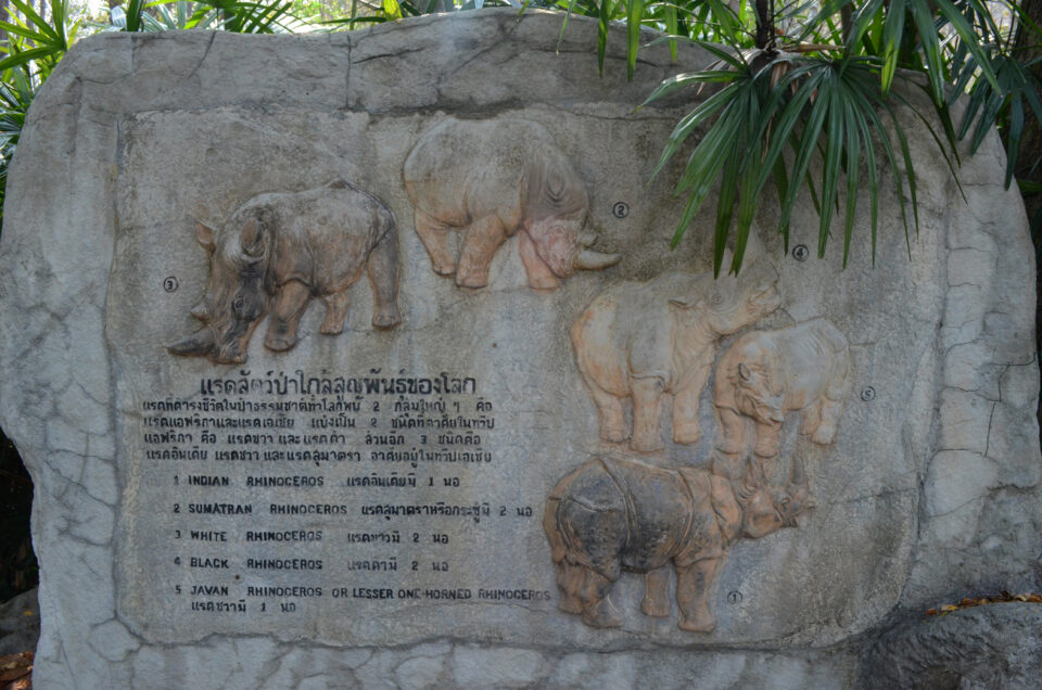The “Big Five” in the Chiangmai zoo (Thailand)