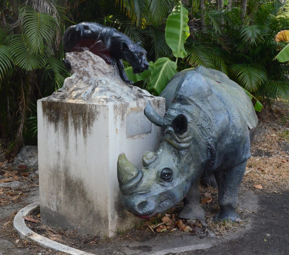 The Ceratotherium simum sculpture in the Chiangmai zoo (Thailand)