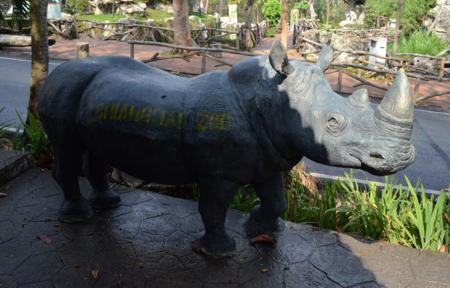 The Ceratotherium simum sculpture in the Chiangmai zoo (Thailand)
