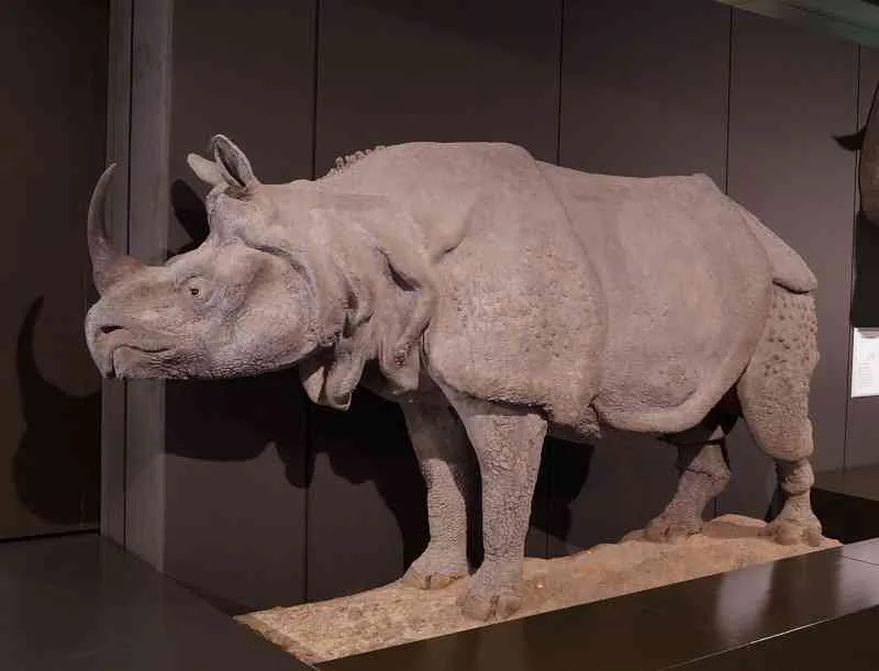 Hamburg Museum