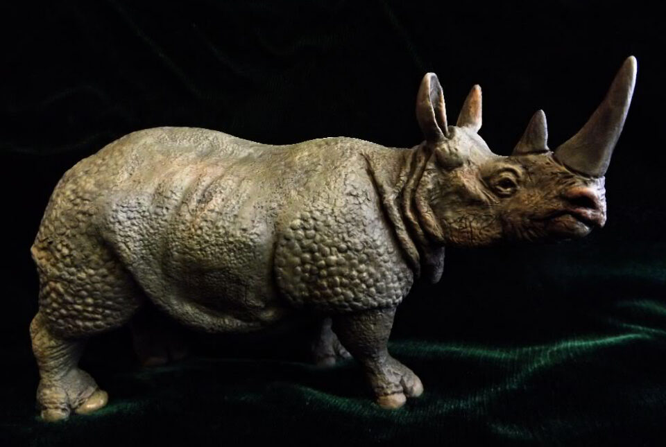 Stephanorhinus kirchbergensis (Jäger) in terracotta