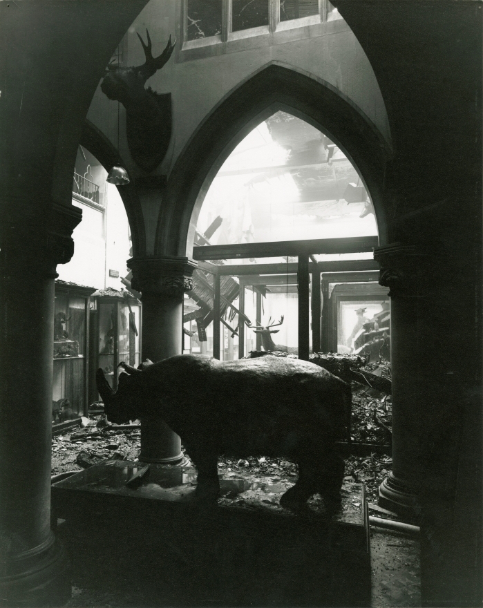 Bristol Museum Jackson