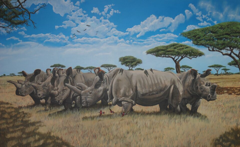 Last Northern white rhinos