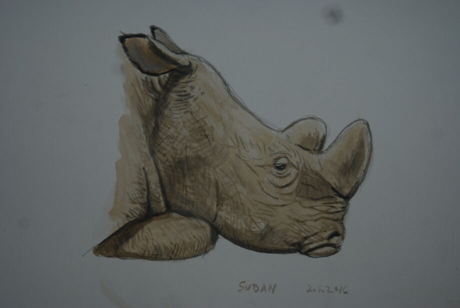 Sudan, last male NWR