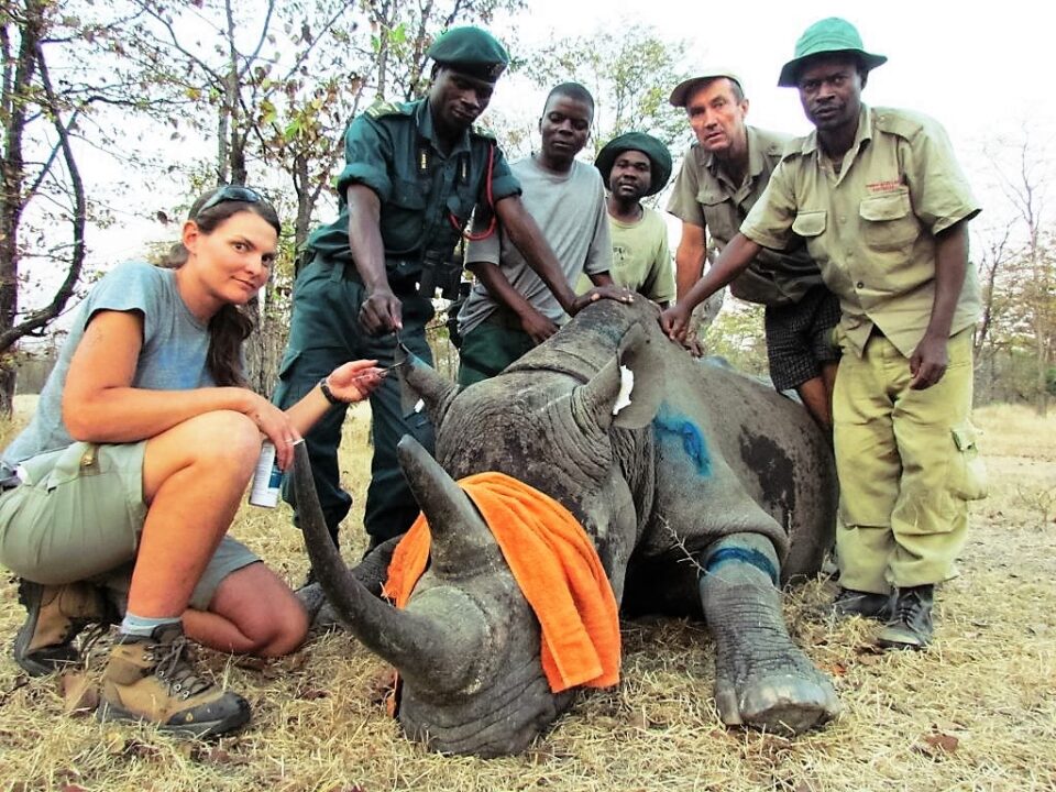 Malawi rhino project
