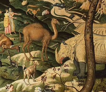 De Myle 1570 detail of Durer rhino