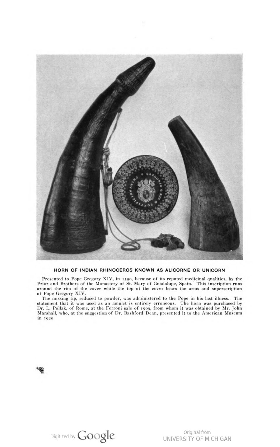 Pope Gregory XIV rhino horn