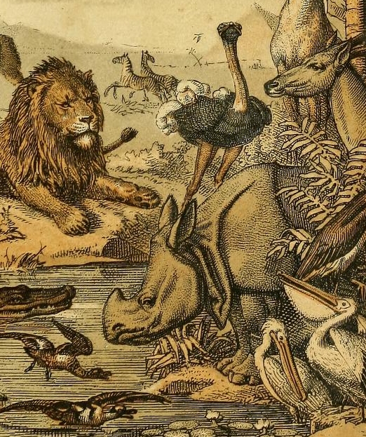 Promenade in Antwerp