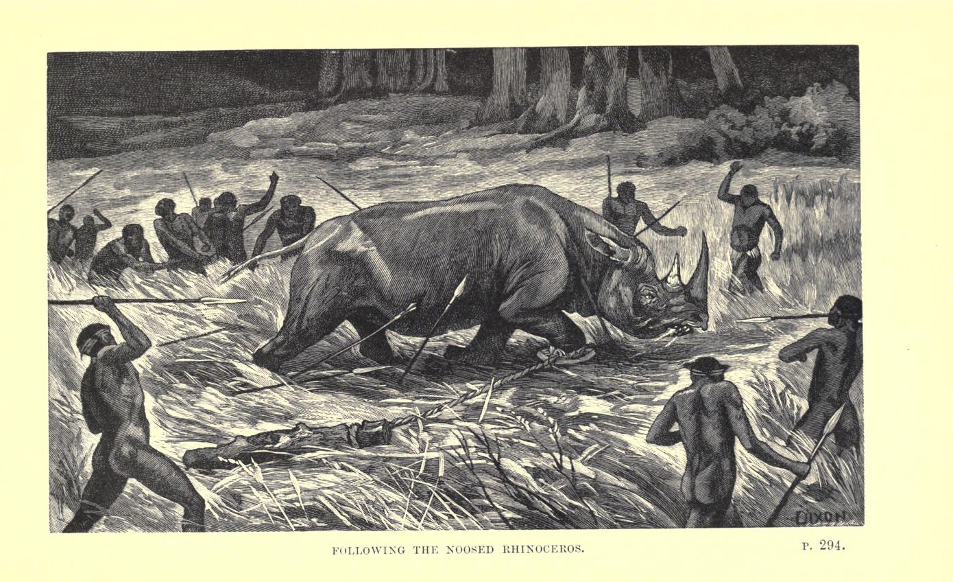 Noobsed Noosed rhinoceros — Rhino Resource Center