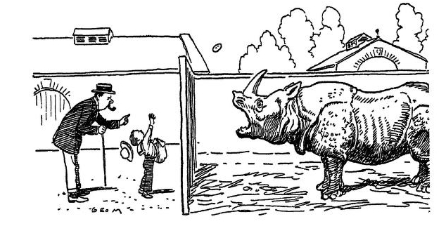 Elegy of a rhinoceros 1