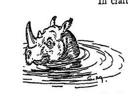 Elegy of a rhinoceros 2