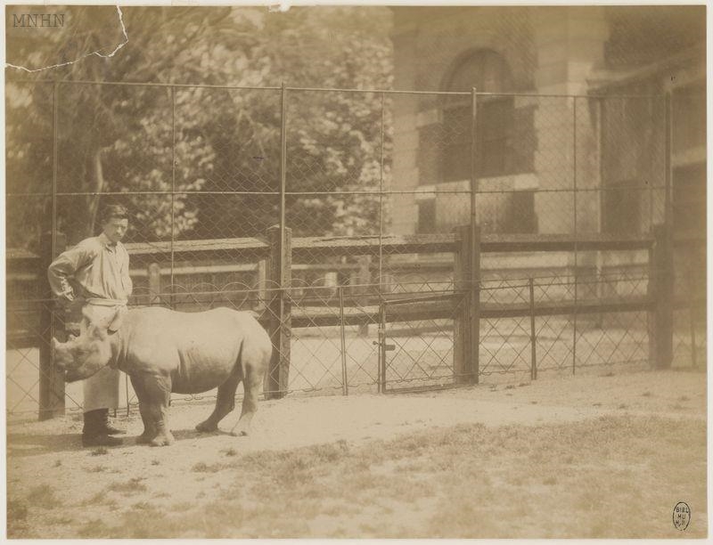 Paris Jardin des Plantes 1885
