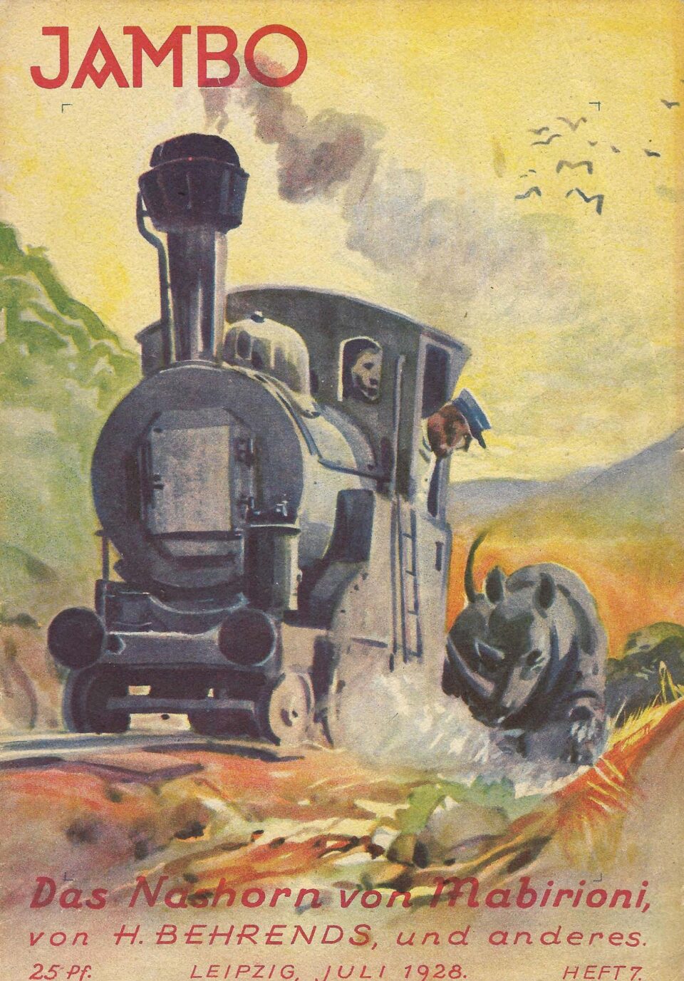 Mabirioni Rhinoceros