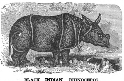 Van Amburgh Circus 1872