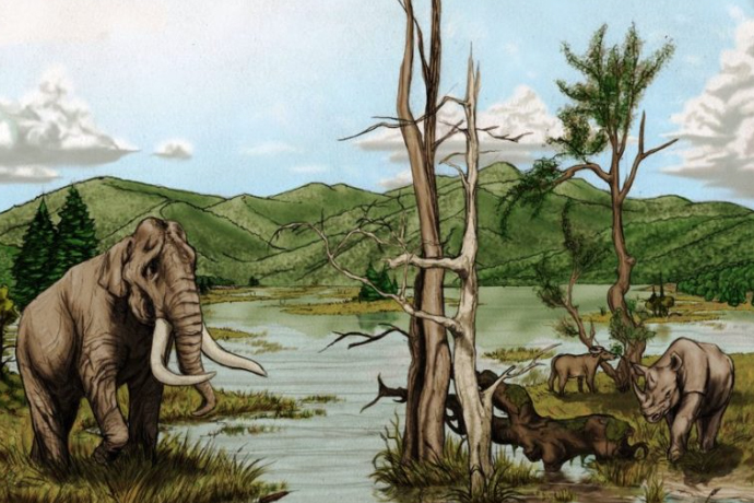 Palaeoreconstruction with a tandem-horned rhino