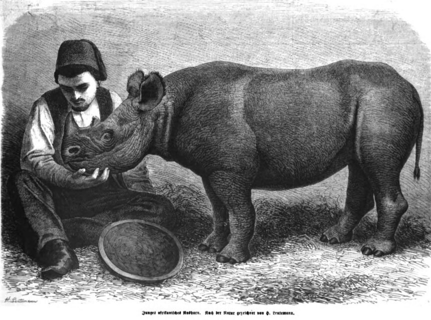 Berlin in Illustrierte Zeitung