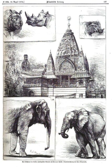 Berlin Zoo Rhino Palace 1874