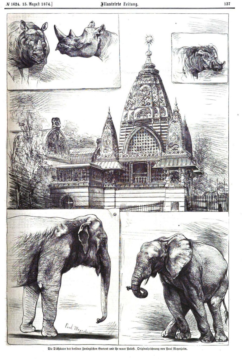 Berlin Zoo Rhino Palace 1874