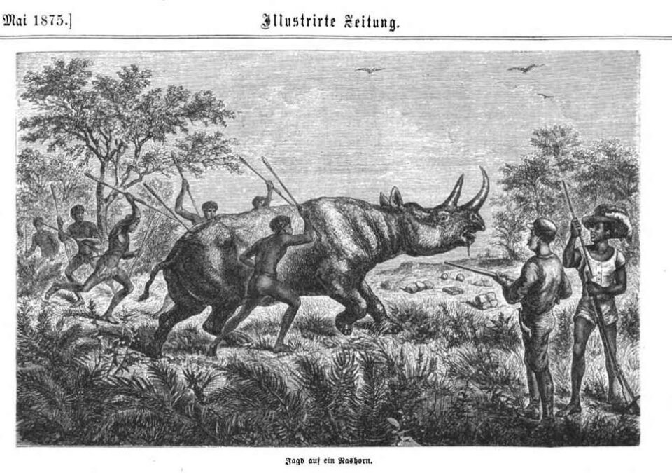 African hunt