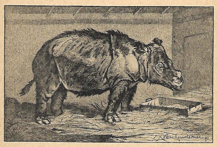 Ehlbeck in Stuttgart