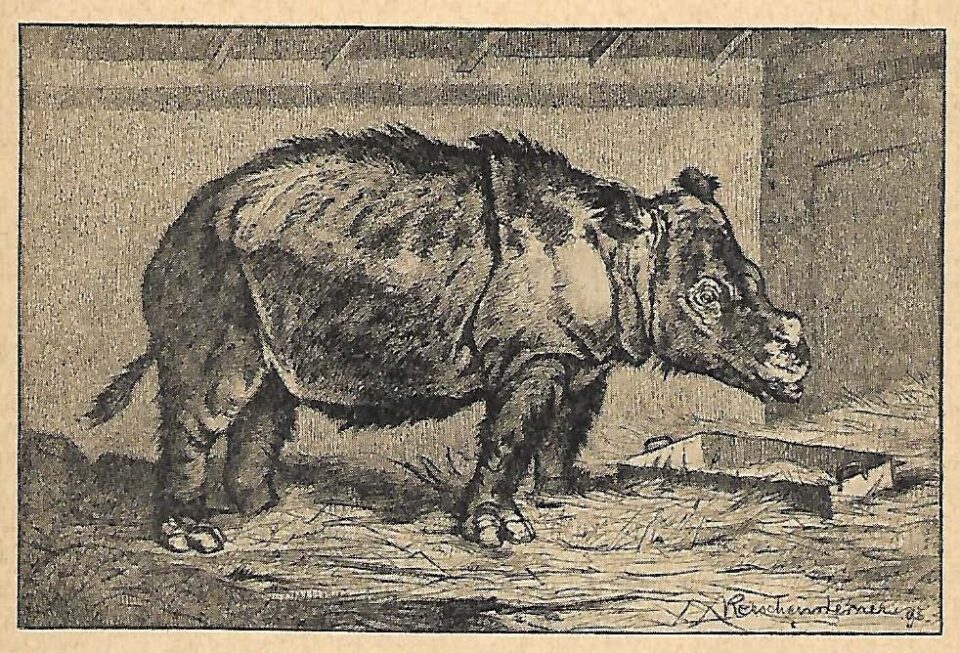 Ehlbeck in Stuttgart