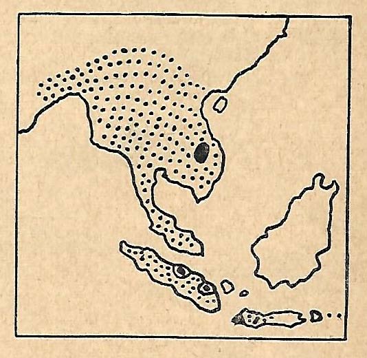 Range of D.sumatrensis