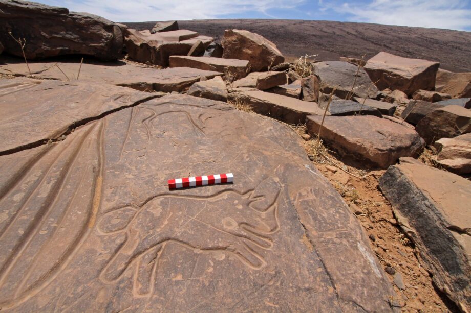 A rhinoceros engraved on a rock at Aït Ouaazik (Morocco)