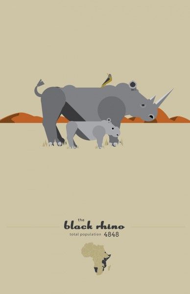 Black rhinoceros population